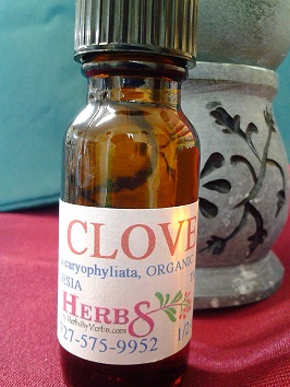 Clove Bud Essential Oil (Pulmonaria officinalis) 1/2 oz